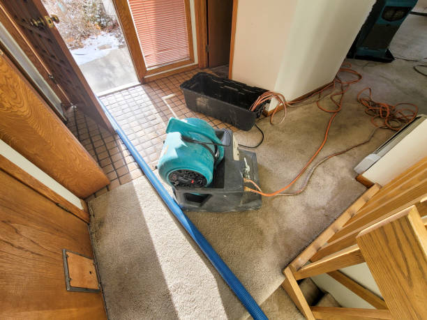 Best Flood restoration services  in Aurora, TX