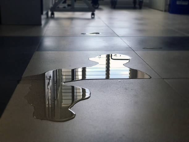 Best Water damage restoration services  in Aurora, TX